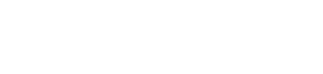 partner-item-3